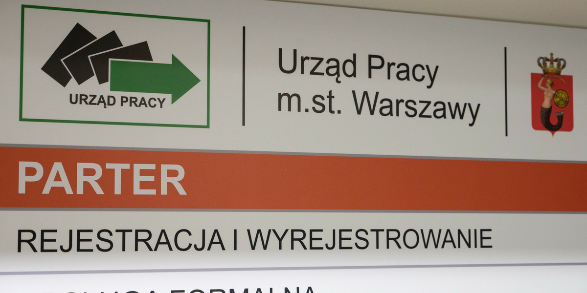 Publiczne służby zatrudnienia wymagają zmiany i dostosowania do aktualnych potrzeb – uważa Iwona Michałek, sekretarz stanu w Ministerstwie Rozwoju, Pracy i Technologii (MRPiT). 