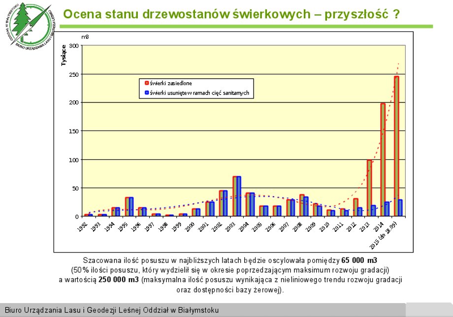 Trwa największa gradacja kornika od 20 lat