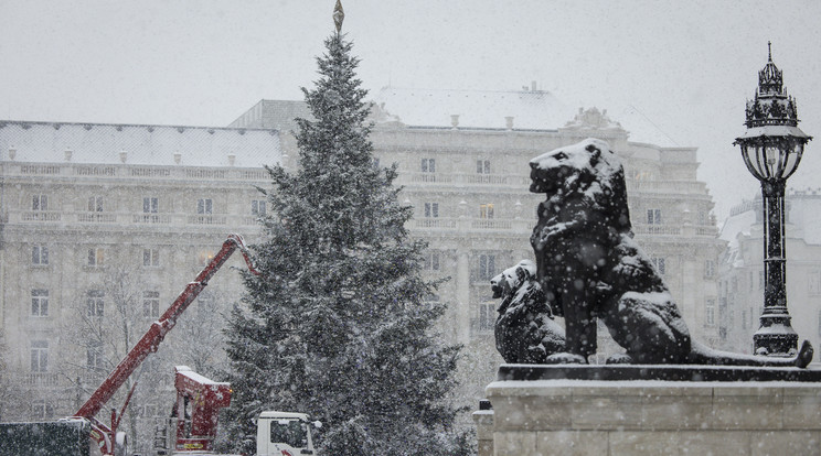 Díszítik az ország karácsonyfáját az Országház előtt / Fotó: MTI/Hegedüs Róbert