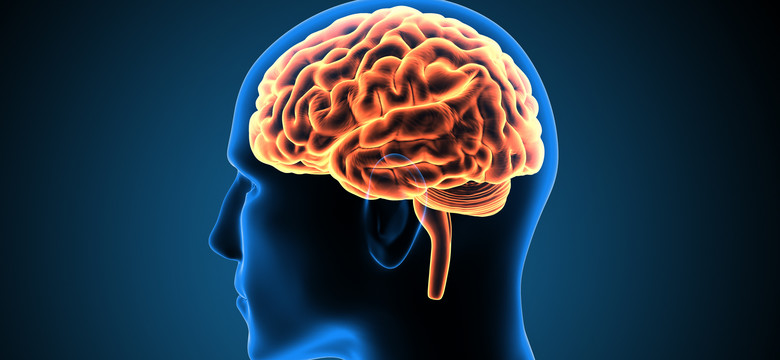 Utrata zdolności ruchowych i intelektualnych - najczęstsze konsekwencje przewlekłego uszkodzenia mózgowia