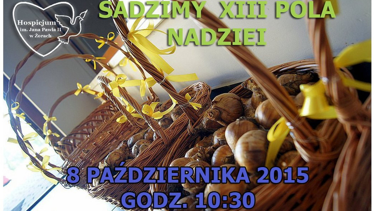 W czwartek, 8 października żorskie Hospicjum im. Jana Pawła II rozpocznie nową edycję programu "Pola Nadziei". W tym dniu, przy placówce, dzieci, młodzież oraz ich opiekunowie zasadzą symboliczne cebulki żonkili.