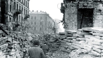 Karty z historii rodziny i narodu. Powstanie, które zabrało wszystko