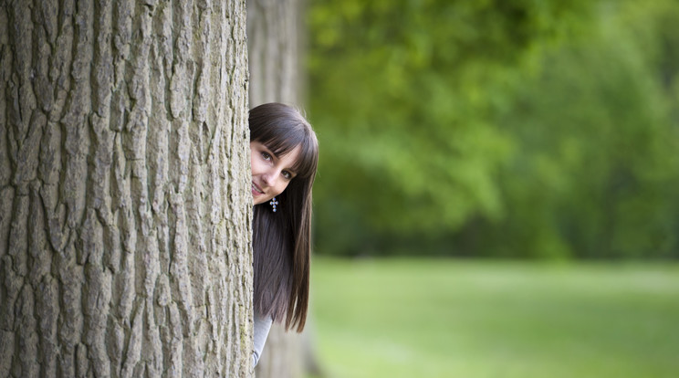 Fotó:Shutterstock