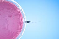 How the unregulated sperm market is creating an online baby boom.