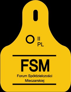 FSM