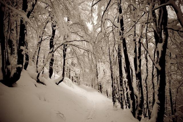 Galeria Polska - Bieszczady w zimowej szacie, obrazek 15