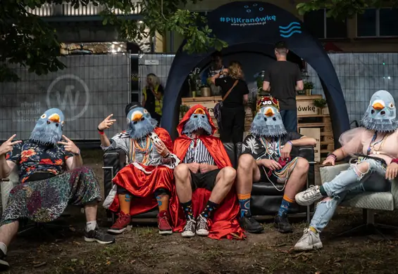 Festiwal muzyczny, którego uczestnicy zasadzą las. Organizatorzy WROsound wyjaśnili, o co chodzi