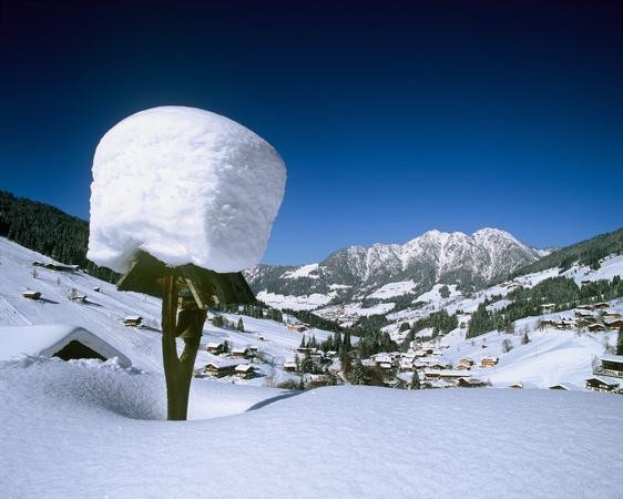 Galeria Austria - Na nartach w Alpbachtal, obrazek 1