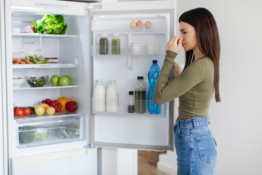 Hrana u frižideru