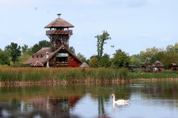 Vojvodina