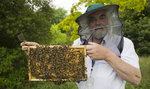 Królewskie pszczoły zostały poinformowane o śmierci królowej II. Zrobiono to w jednym celu