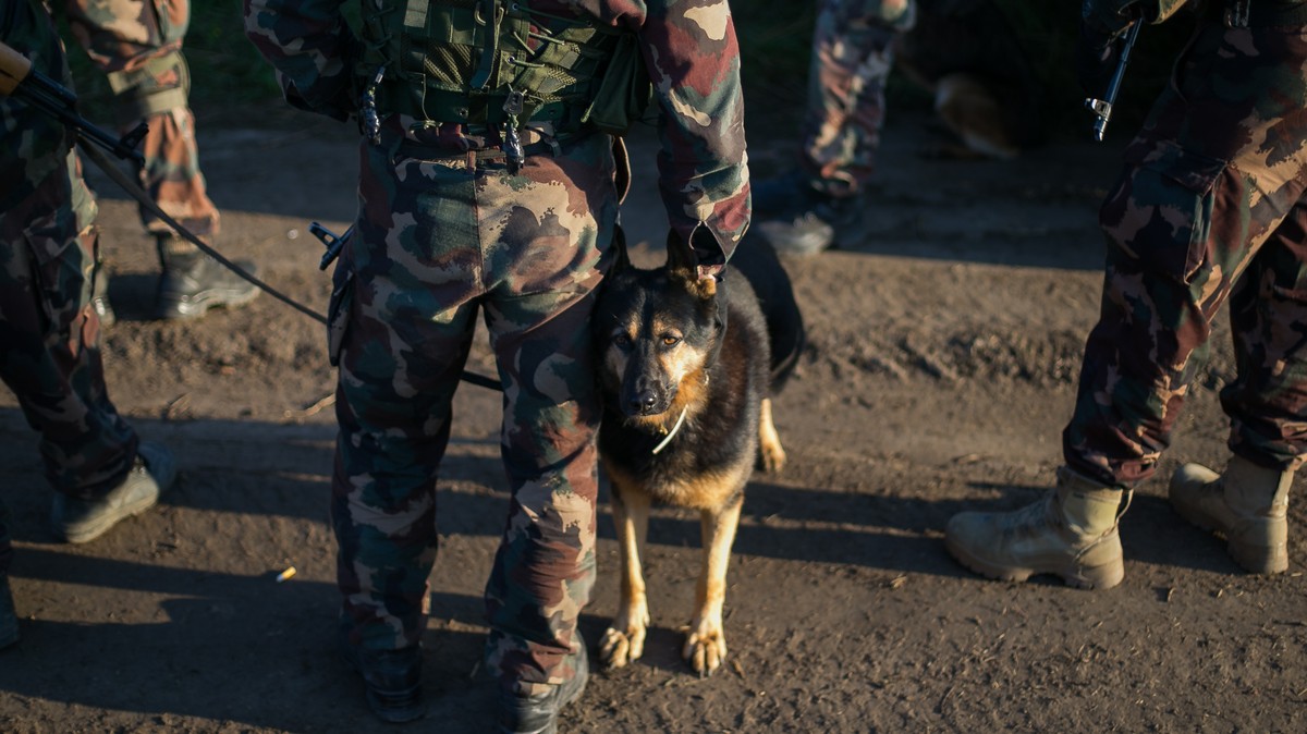 Kitört a lázadás Csádban, Ndjamena-ban, ahová a magyar katonák készülnek