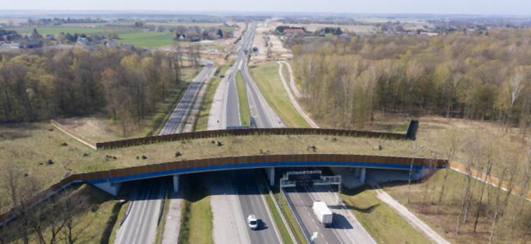 Nowa trasa S19, czyli wygodne połączenie między Rzeszowem a Warszawą