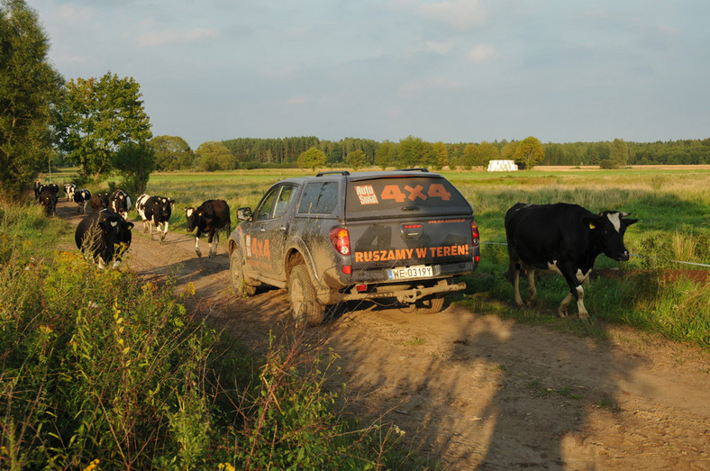 4x4 Family Adventure: baza pod namiotami