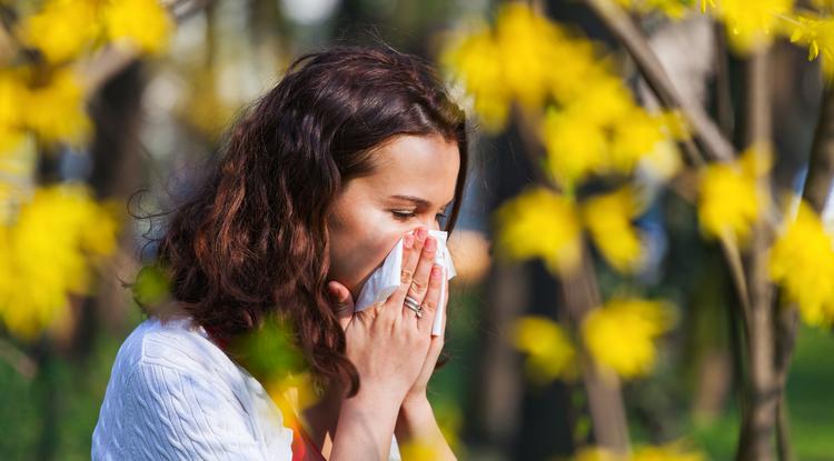 Így szabadulhatsz meg az allergiától Fotó: Getty Images