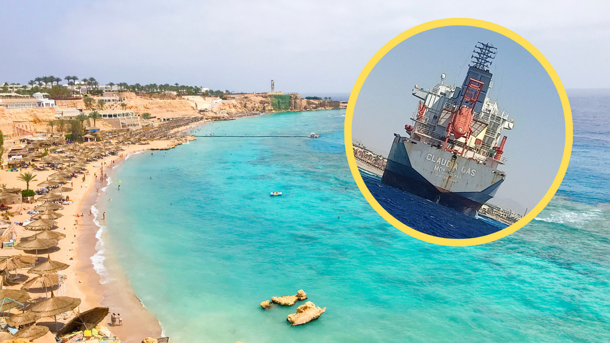 Zniszczona rafa koralowa u wybrzeży Sharm el-Sheikh. Kara może wynieść miliony