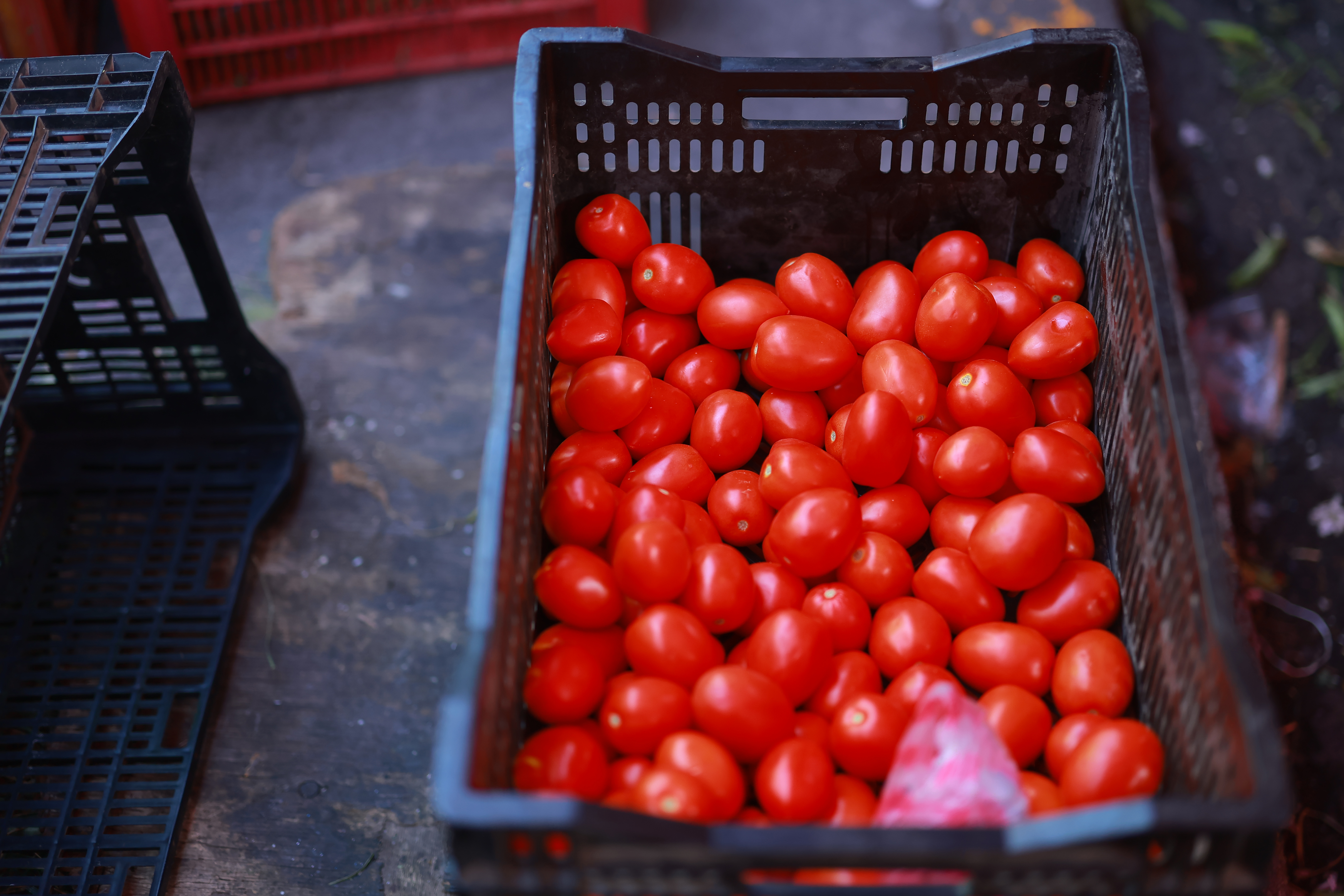 Messico critica tariffa USA 17% su pomodori: "Ingiusta"