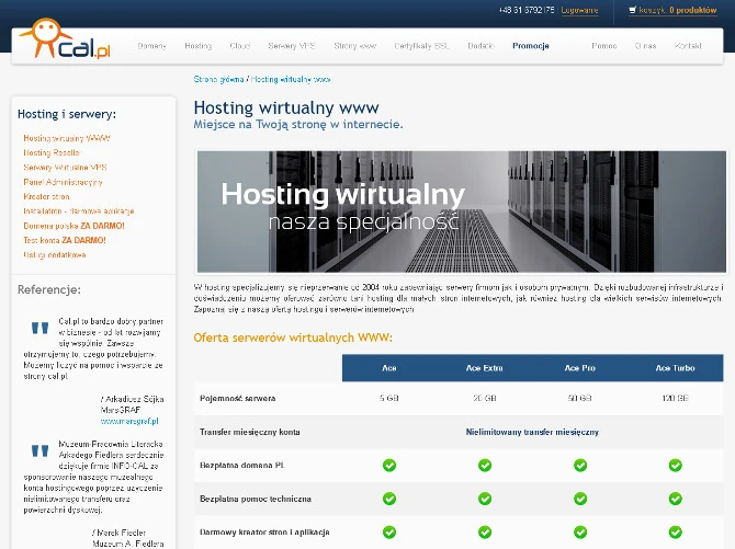 Oferta profesjonalnego hostingu płatnego w cal.pl.