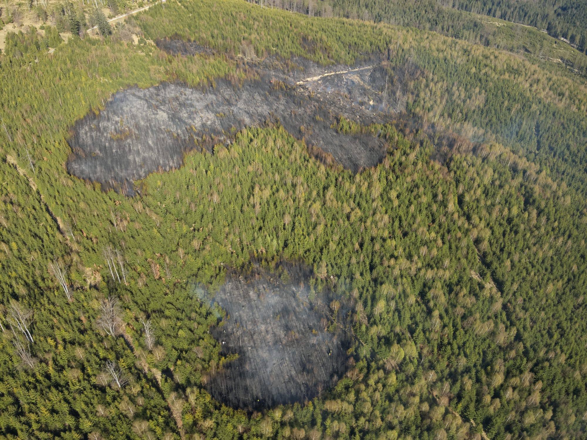 Lesný požiar na Orave zničil mladý les, škoda je obrovská a príčina neznáma.