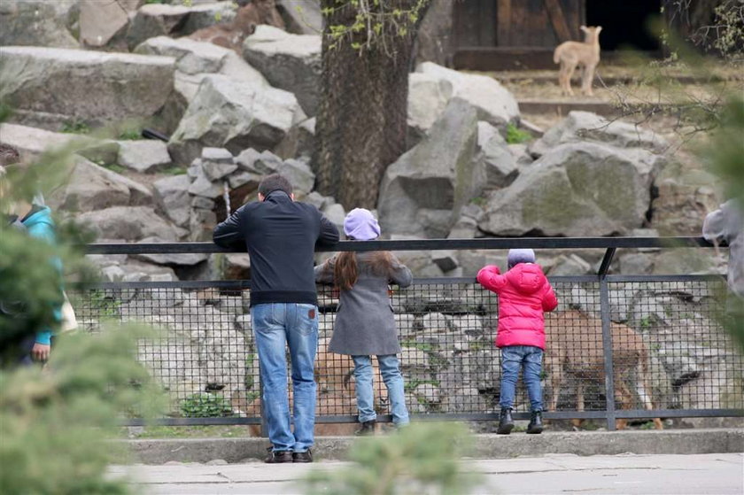 Dubieniecki z córkami w zoo