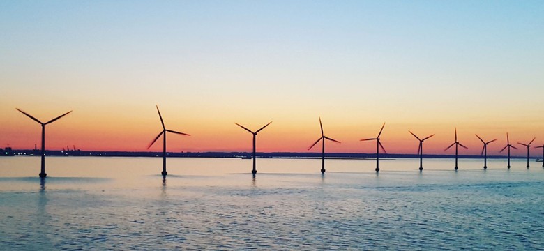 Odnawialne źródła energii. Co sądzą o nich Polacy?