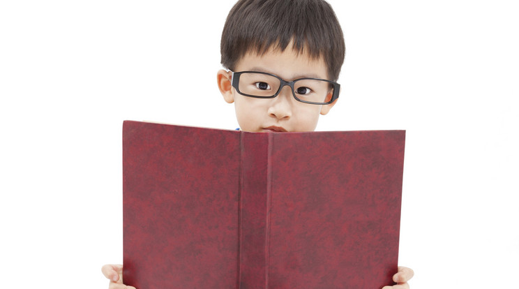 Igazi matekzseni a kilenc éves japán kisfiú/ Illusztráció: Northfoto