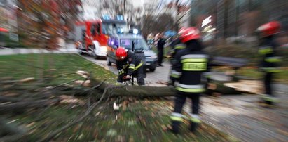 Dramat na Podhalu. Drzewo spadło na matkę z dziećmi