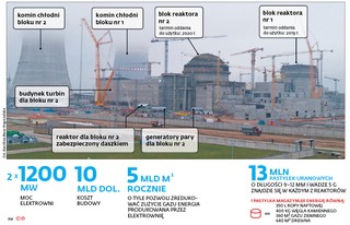 'Ukrywanie wypadków to taktyka w stylu czarnobylskim'. Dwa reaktory spędzające Litwinom sen z powiek