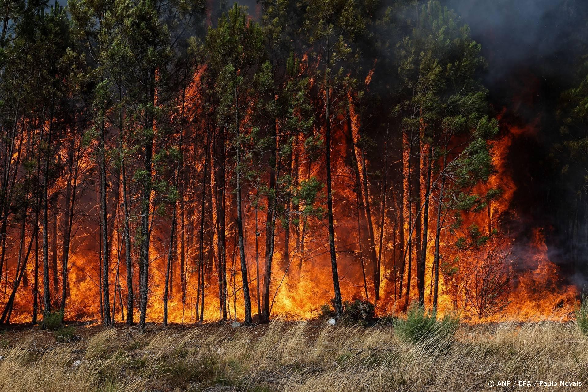 Het KNMI waarschuwt: 'De ergste nachtmerrie' met 35+ graden en bosbranden