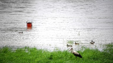 Ulewne deszcze na południu. Podnosi się poziom wody w rzekach