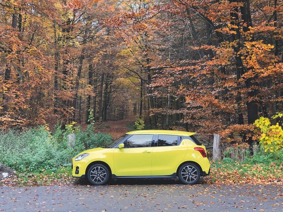 Suzuki Swift w teście 100 tys. km