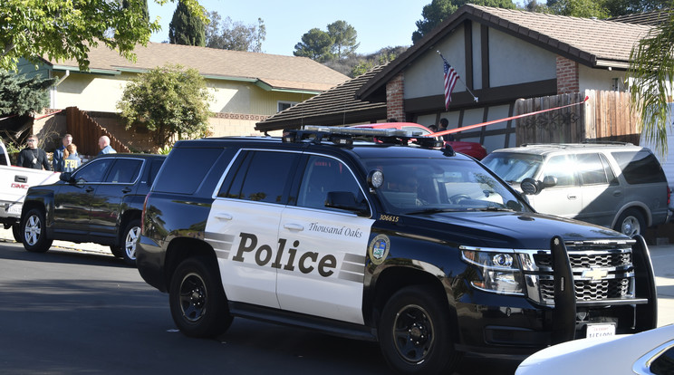 Kaliforniai rendőrök mentettek medvét / Illusztráció: Northfoto