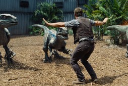 Welociraptory dinozaury Chris Pratt Jurassic World