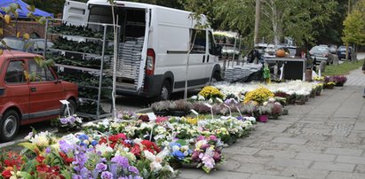 Wszystkich Świętych. Tak dojedziesz na wrocławskie cmentarze