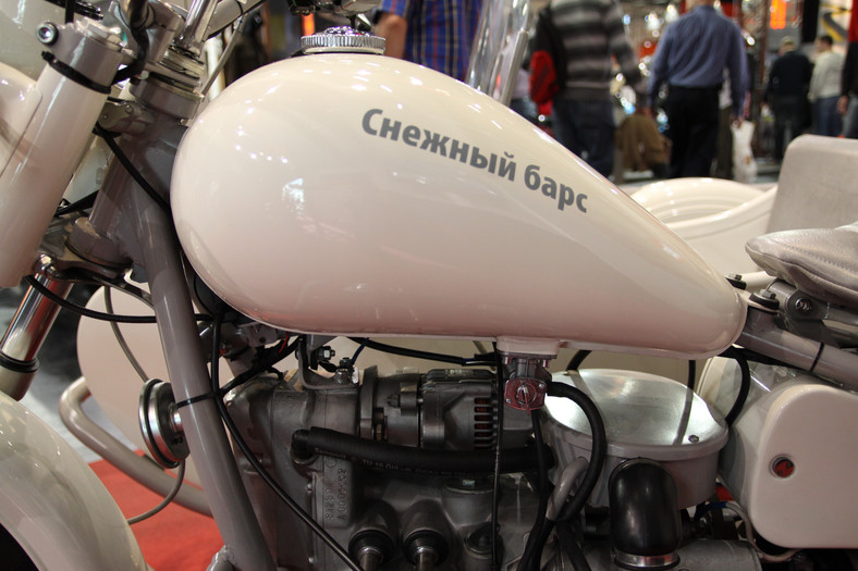 Ural Schneeleopard