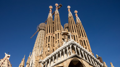 Na wieży Sagrada Familia urodziły się pisklęta sokoła wędrownego