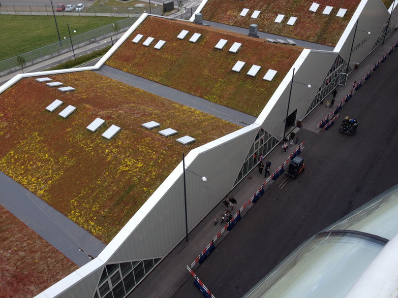 Zielony dach na budynku w Kopenhadze
