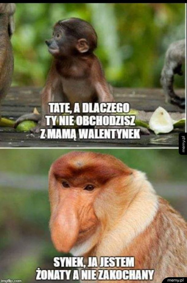 Najlepsze memy na walentynki