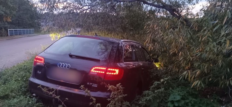 Kierowca Audi wracał z grzybów. Przy policji kończył 7 piwo