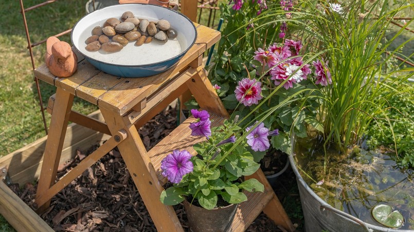 Poidło dla pszczół w misce z kamieniami oraz mini oczko wodne w metalowym pojemniku, z którego mogą korzystać ptaki