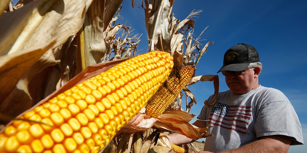 Trump could approve a giant merger that's scaring American farmers