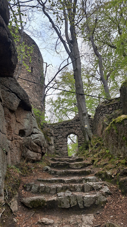 Jedna z dróg na zamek Chojnik prowadzi po kamiennych schodach ukrytych w lesie
