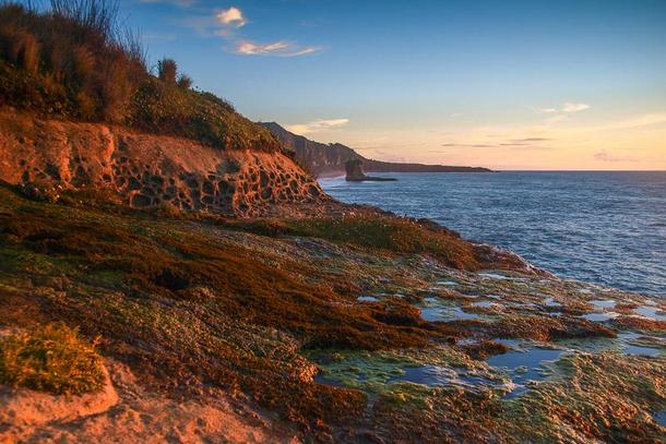 Morze Tasmana plaża Trumana Nowa Zelandia