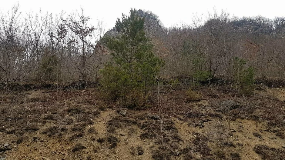 Lavina kidala sve pred sobom: Mesto sa kog se pokrenuo odron nalazi se 100-ak metara iznad puta