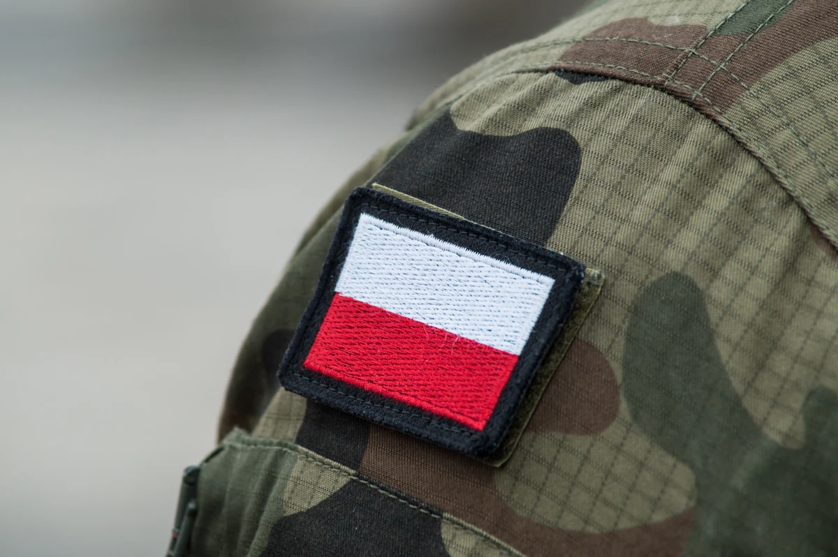 Obowiązkowe szkolenie wojskowe. Co na to smerfy? NOWY SONDAŻ