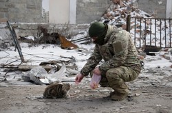 Ruiny, spalone wraki czołgów... Co zostało po walkach na Ukrainie? ZDJĘCIA