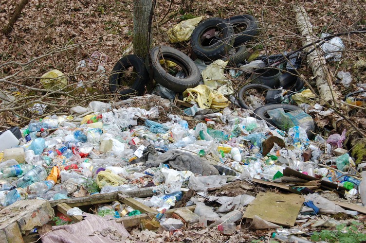 Foliowe torby zagrażają naturze