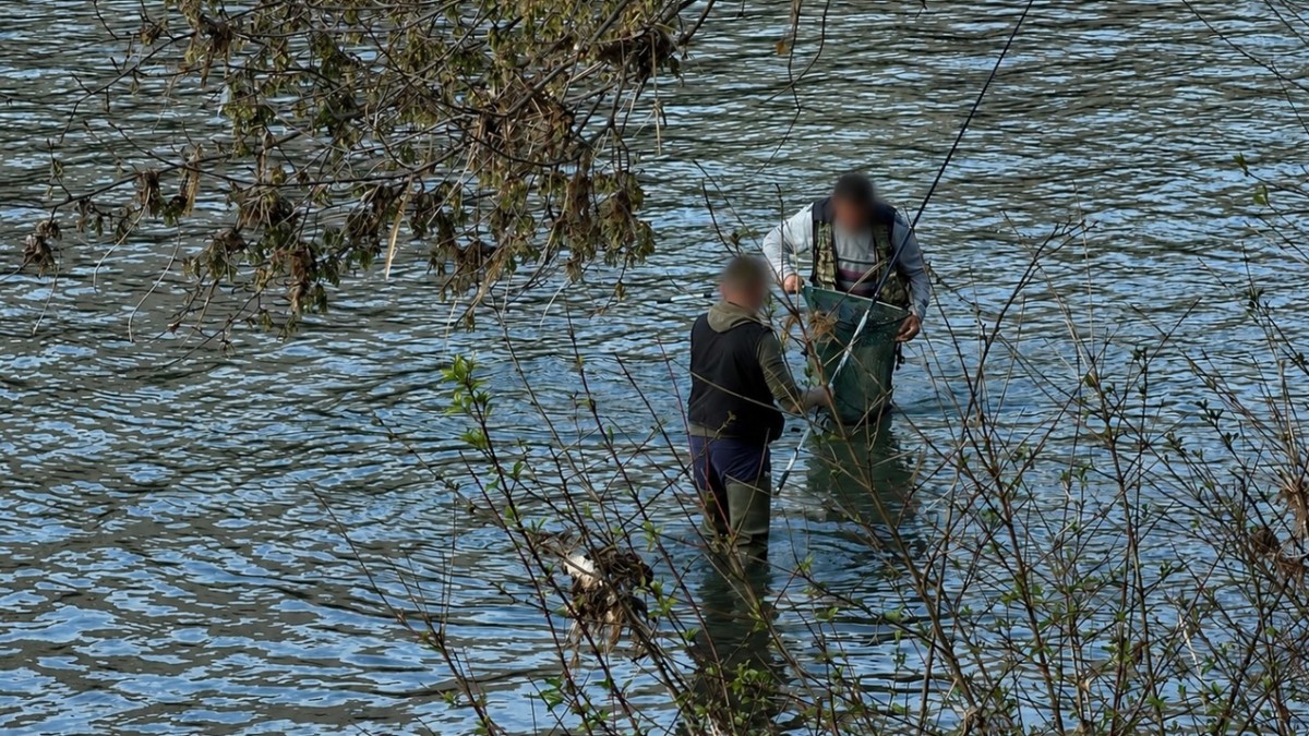 Pronađeno telo pecaroša u Zapadnoj Moravi