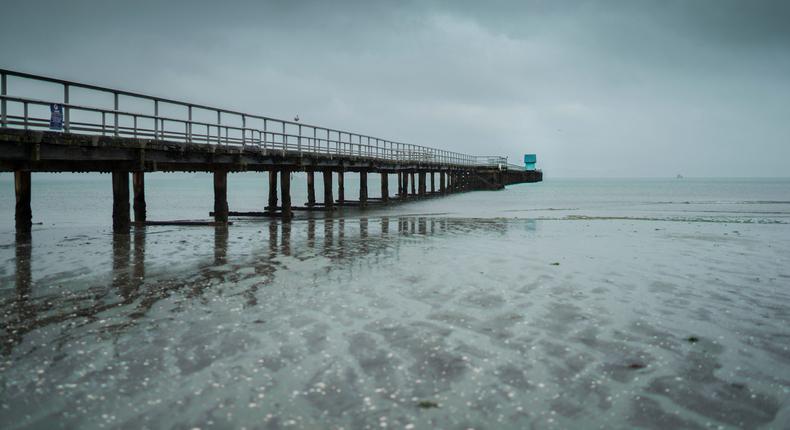 A foot washed up on Petone Beach and was discovered on Saturday morning.Paul Mclaughlin / EyeEm