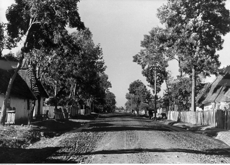 Główna droga we wsi w Galicji. Główna droga we wsi w Galicji zamieszkałej przez Ukraińców zabudowana drewnianymi domami (1943 r.)